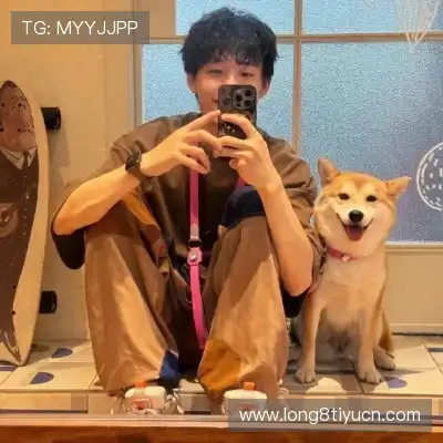 韶靓影